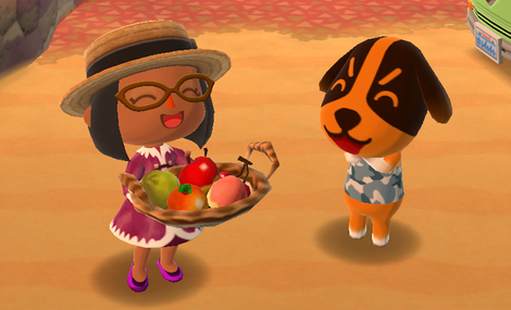 Animal Crossing: Pocket Camp